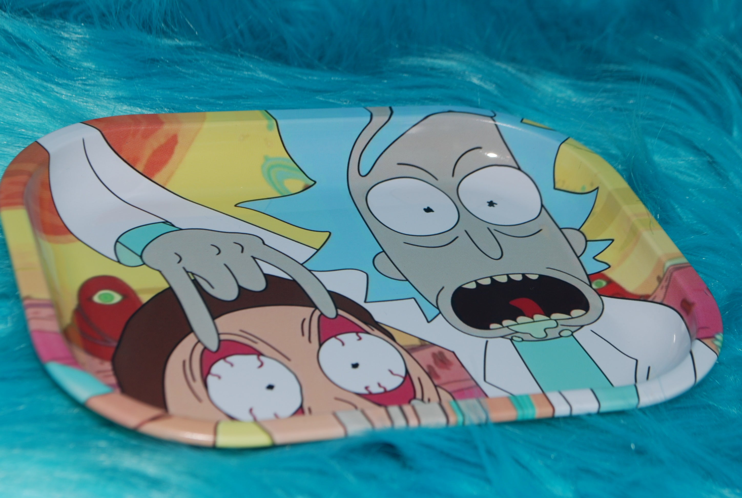 Rick and Morty Tray